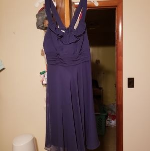 Set of 5 David Bridal bridesmaid dresses